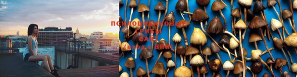 альфа пвп Санкт-Петербург