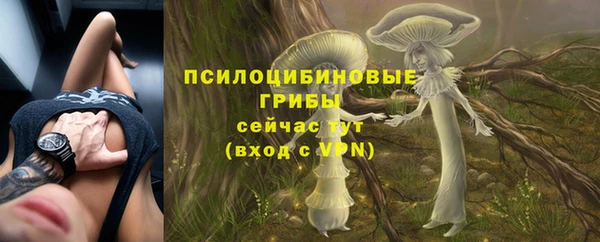 герыч Новосибирск