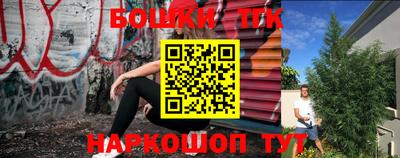 соль ск Дубна