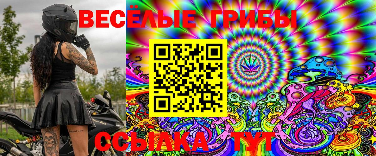 Галлюциногенные грибы Psilocybe Россия