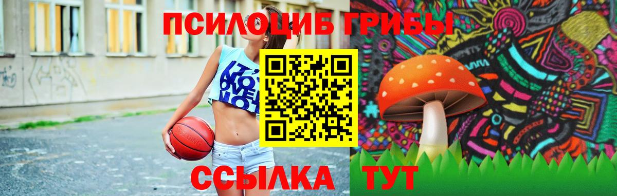 Псилоцибиновые грибы Россия