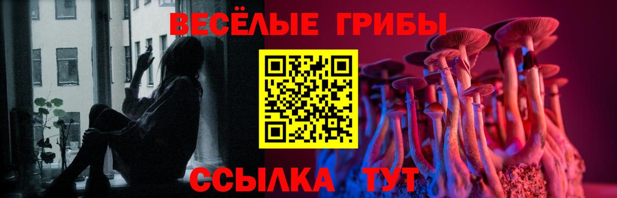 Псилоцибиновые грибы ЛСД Россия