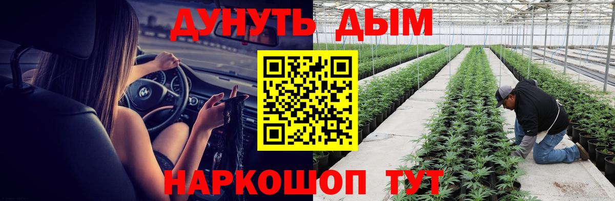 Марихуана Ganja  Конопля марихуана  Канабис Bruce Banner  Россия 